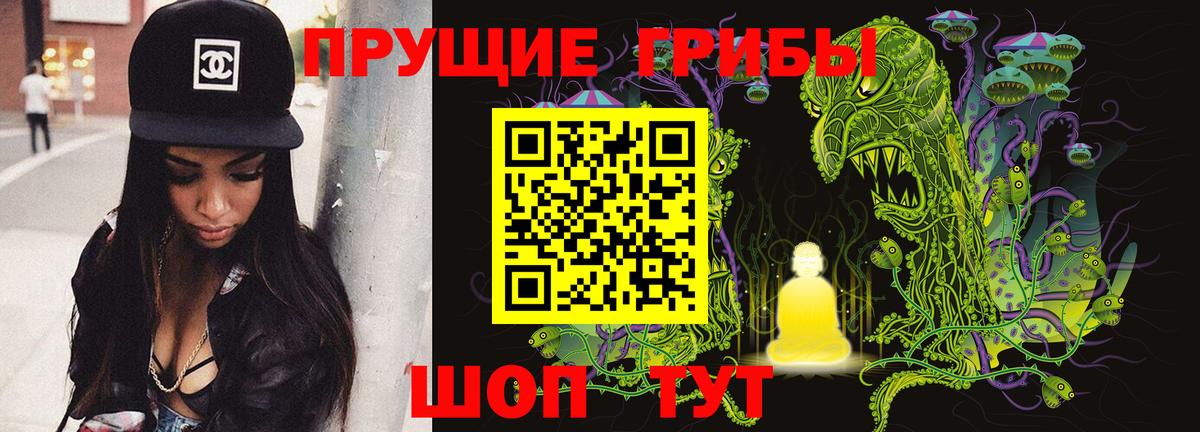 Копейск  Галлюциногенные грибы прущие грибы  Вход с VPN 