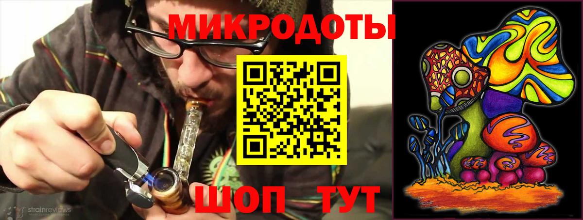 Псилоцибиновые грибы Psilocybine cubensis Копейск